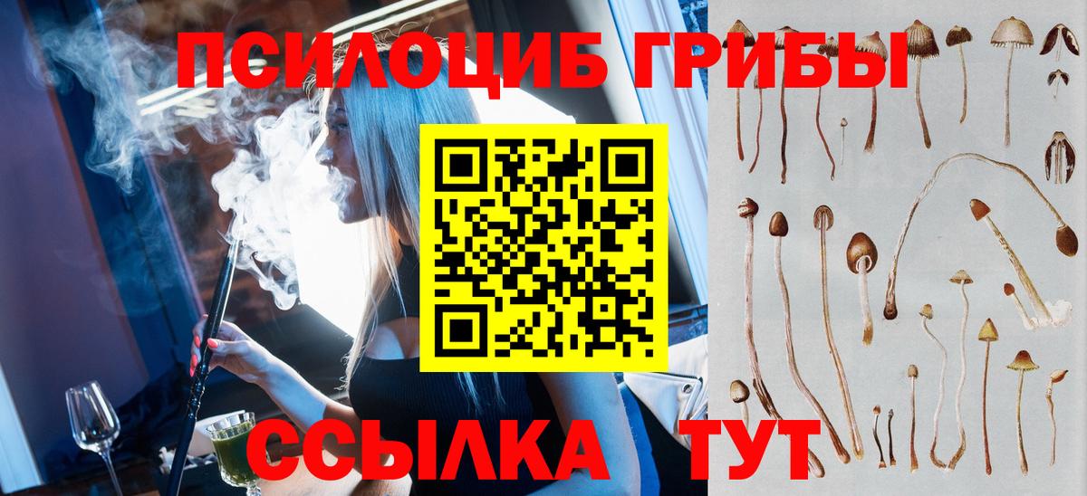 Псилоцибиновые грибы MAGIC MUSHROOMS Кинель