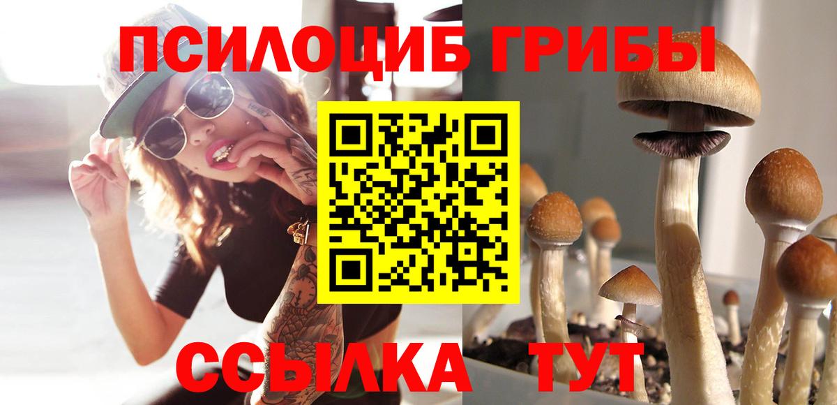 Псилоцибиновые грибы GOLDEN TEACHER  Вход с VPN  Кинель 